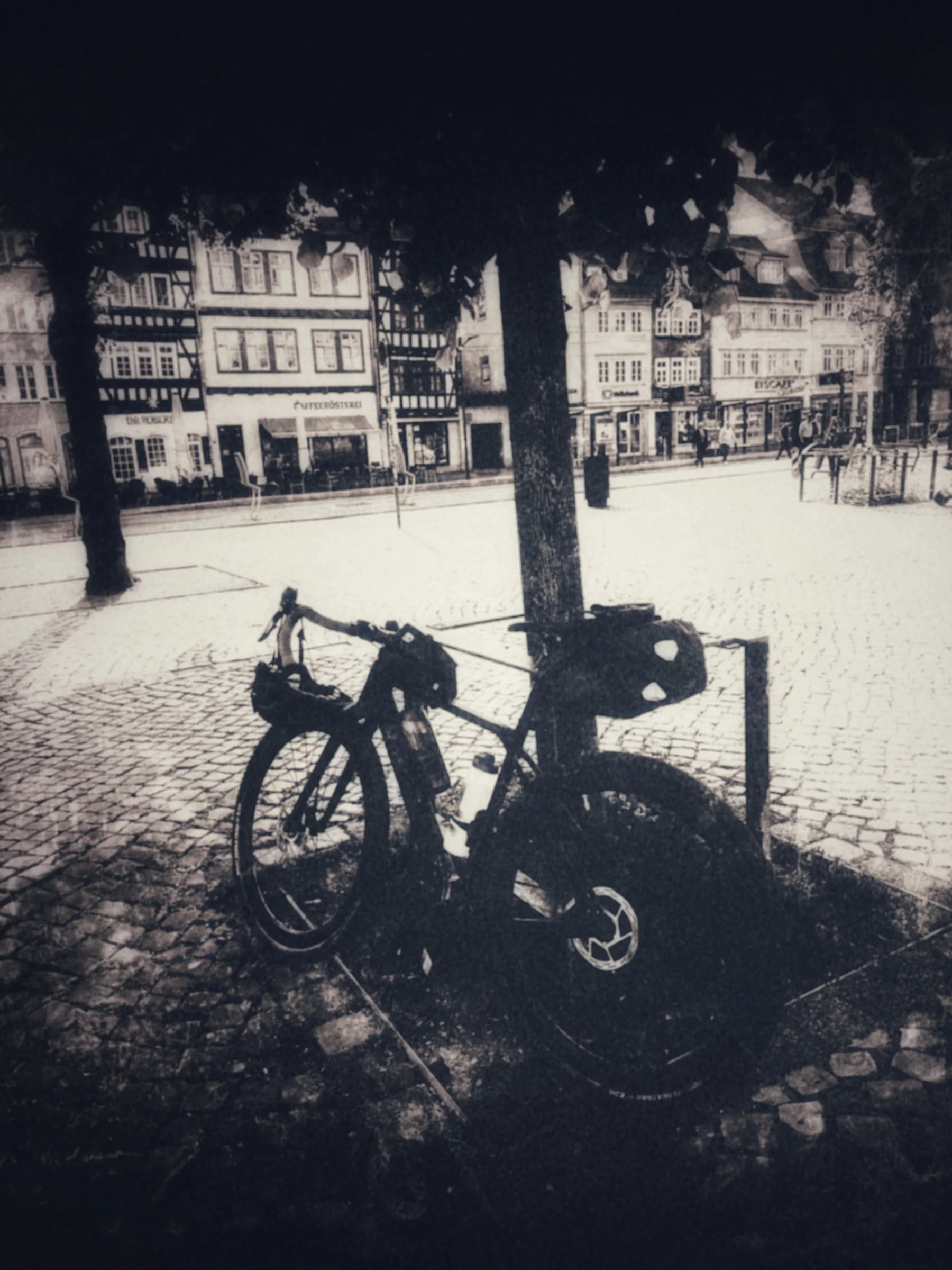 Fahrrad am Baum